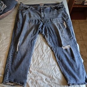 Molly & Isadora Women's 28W Petite Length Girlfriend Distressed Blue Jeans